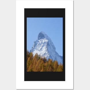 Matterhorn, autumn, trees, forest, Zermatt, Valais, Switzerland Posters and Art